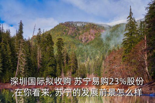 深圳國際擬收購 蘇寧易購23%股份,在你看來, 蘇寧的發(fā)展前景怎么樣