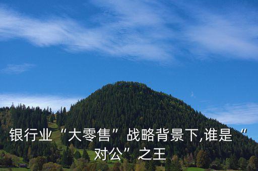 銀行業(yè)“大零售”戰(zhàn)略背景下,誰(shuí)是“ 對(duì)公”之王