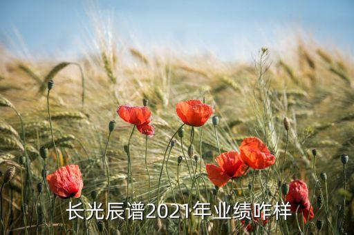  長(zhǎng)光辰譜2021年業(yè)績(jī)咋樣