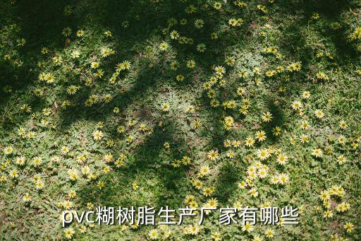 pvc糊樹脂生產廠家有哪些