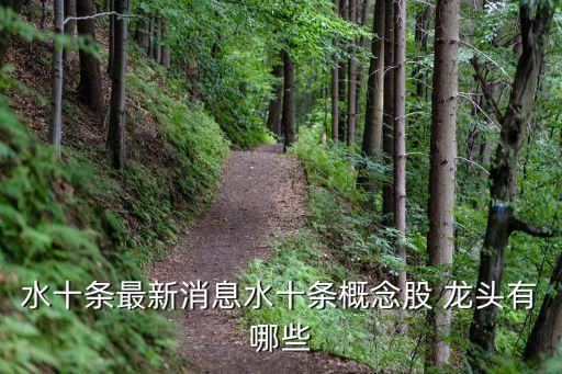 污水處理股票龍頭股,全國十大污水處理廠設備廠家