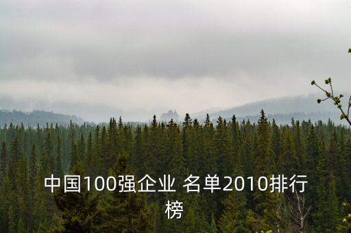 中國100強企業(yè) 名單2010排行榜