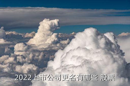 2022上市公司更名有哪些 股票