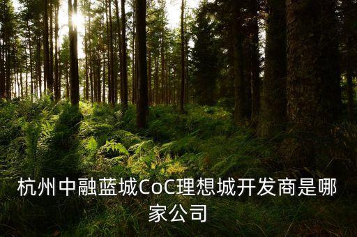 杭州中融藍(lán)城CoC理想城開(kāi)發(fā)商是哪家公司