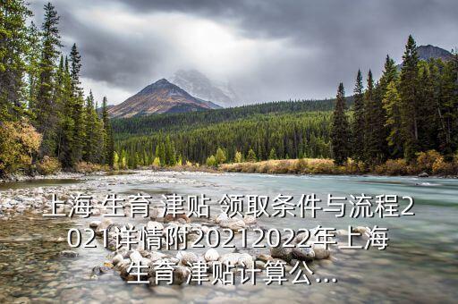 上海 生育 津貼 領取條件與流程2021詳情附20212022年上海 生育 津貼計算公...