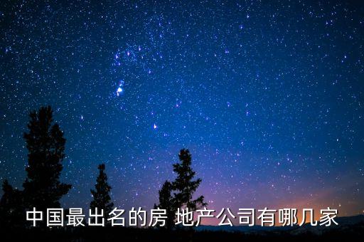 中國(guó)最出名的房 地產(chǎn)公司有哪幾家