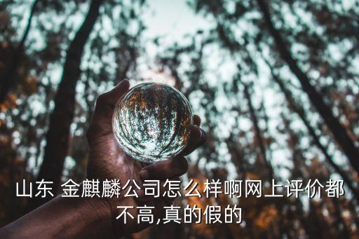 山東 金麒麟公司怎么樣啊網(wǎng)上評(píng)價(jià)都不高,真的假的