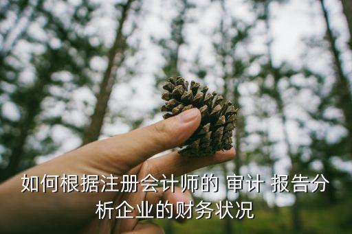 如何根據(jù)注冊會計師的 審計 報告分析企業(yè)的財務(wù)狀況