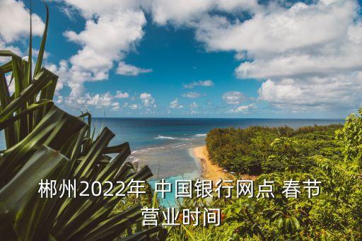 郴州2022年 中國銀行網(wǎng)點 春節(jié)營業(yè)時間