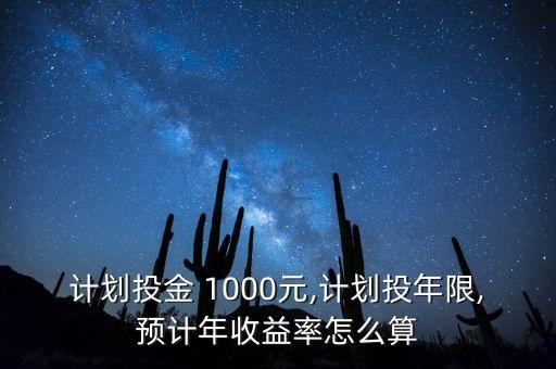 計(jì)劃投金 1000元,計(jì)劃投年限,預(yù)計(jì)年收益率怎么算