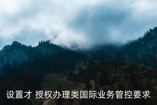 設(shè)置才 授權(quán)辦理類國際業(yè)務(wù)管控要求