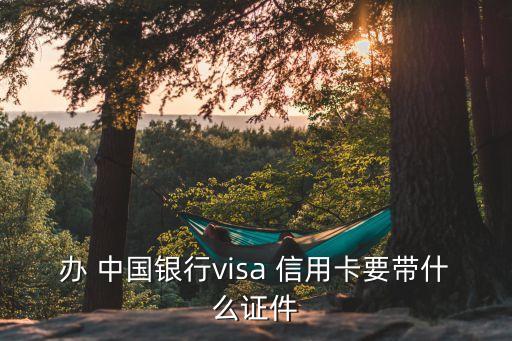 辦 中國(guó)銀行visa 信用卡要帶什么證件