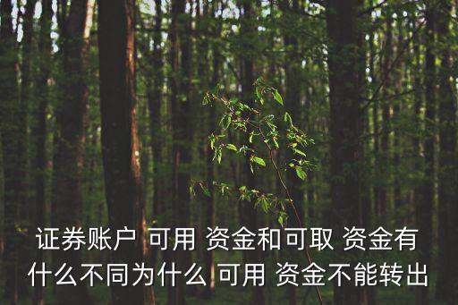 證券賬戶 可用 資金和可取 資金有什么不同為什么 可用 資金不能轉(zhuǎn)出