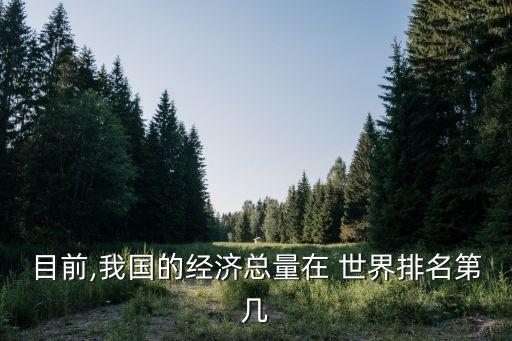 目前,我國的經(jīng)濟(jì)總量在 世界排名第幾