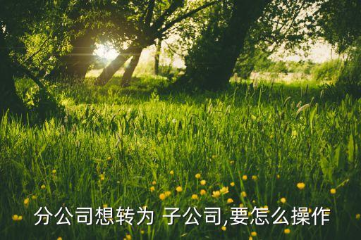 全資子公司變更為分公司,全資孫公司變更為全資子公司