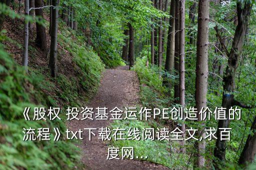 《股權(quán) 投資基金運作PE創(chuàng)造價值的流程》txt下載在線閱讀全文,求百度網(wǎng)...