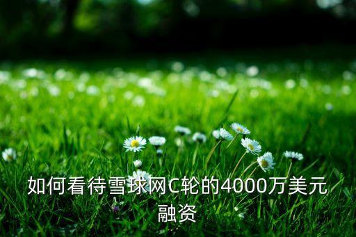 如何看待雪球網(wǎng)C輪的4000萬(wàn)美元融資