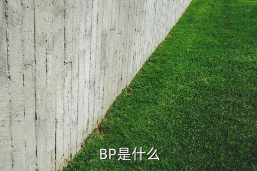 英國BP公司中國總部,英國bp公司介紹