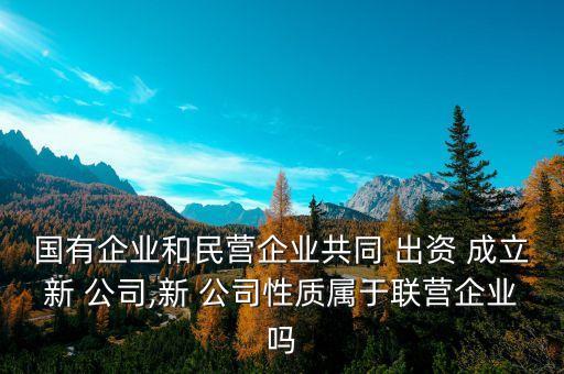 國(guó)有企業(yè)和民營(yíng)企業(yè)共同 出資 成立新 公司,新 公司性質(zhì)屬于聯(lián)營(yíng)企業(yè)嗎