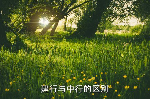 建行與中行的區(qū)別