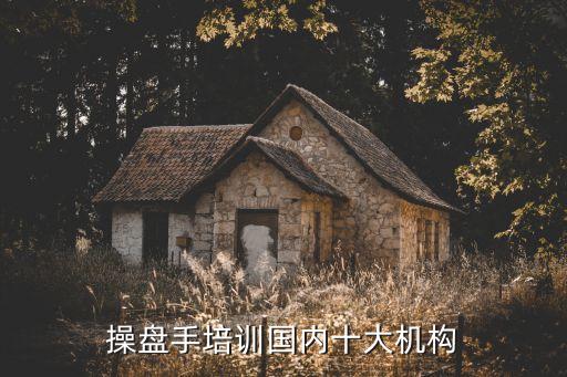 中國(guó)有多少專業(yè)炒股的,中國(guó)現(xiàn)在有多少人在炒股