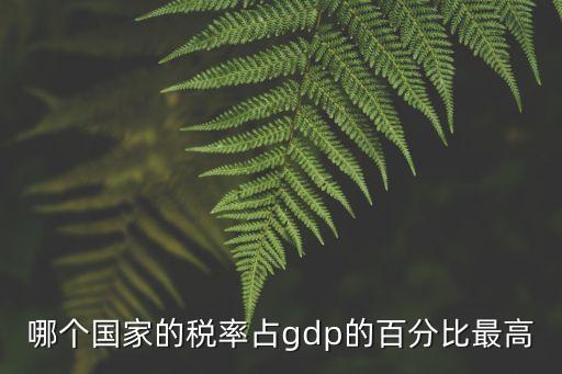 哪個國家的稅率占gdp的百分比最高