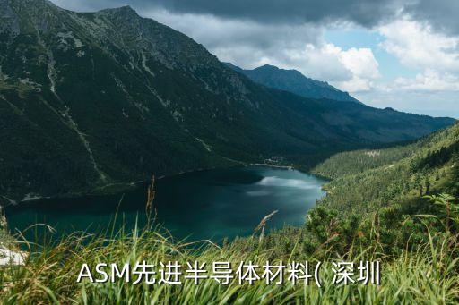 ASM先進(jìn)半導(dǎo)體材料( 深圳