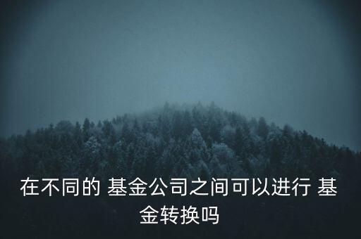 在不同的 基金公司之間可以進行 基金轉換嗎