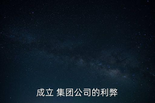 成立 集團(tuán)公司的利弊