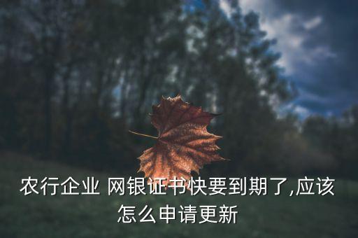 農(nóng)行企業(yè) 網(wǎng)銀證書快要到期了,應(yīng)該怎么申請更新