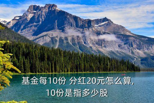  基金每10份 分紅20元怎么算,10份是指多少股