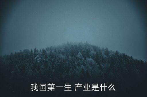 我國第一生 產(chǎn)業(yè)是什么