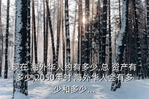 現(xiàn)在 海外華人約有多少,總 資產(chǎn)有多少,2050年時 海外華人會有多少和多少...