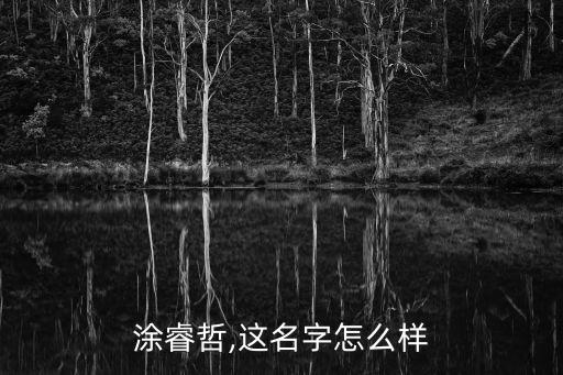 涂睿哲,這名字怎么樣