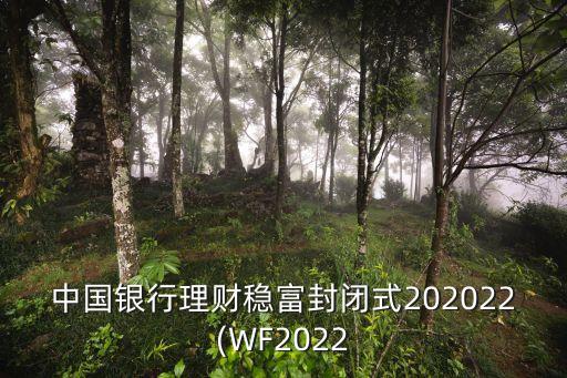 中國銀行理財穩(wěn)富封閉式202022(WF2022