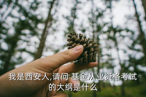 我是西安人,請(qǐng)問(wèn) 基金從業(yè)資格考試的大綱是什么