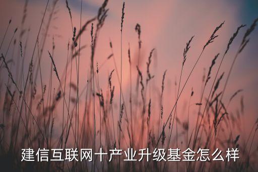  建信互聯(lián)網(wǎng)十產(chǎn)業(yè)升級基金怎么樣