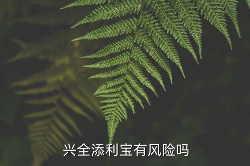  興全添利寶有風(fēng)險(xiǎn)嗎