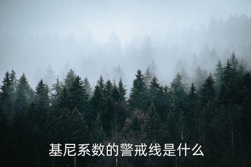  基尼系數(shù)的警戒線是什么