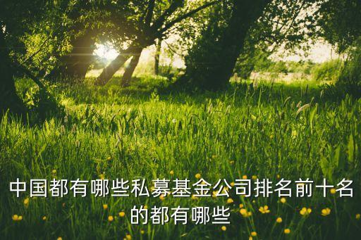 盛泰聯(lián)合資產(chǎn)有限公司,大灣區(qū)聯(lián)合資產(chǎn)管理(青島)有限公司