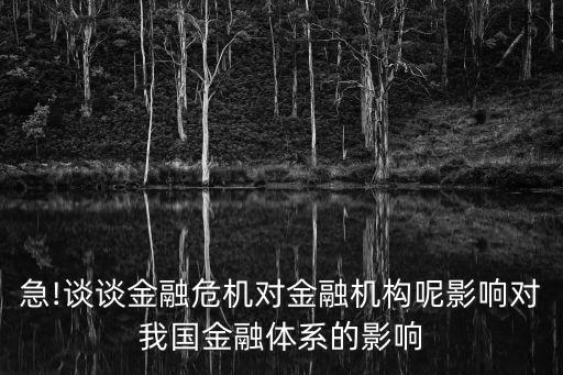 急!談?wù)劷鹑谖C對金融機構(gòu)呢影響對我國金融體系的影響