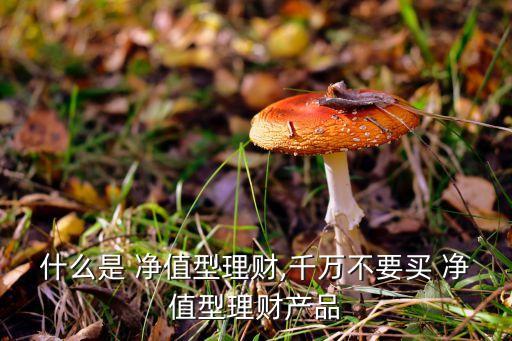 什么是 凈值型理財(cái),千萬(wàn)不要買(mǎi) 凈值型理財(cái)產(chǎn)品