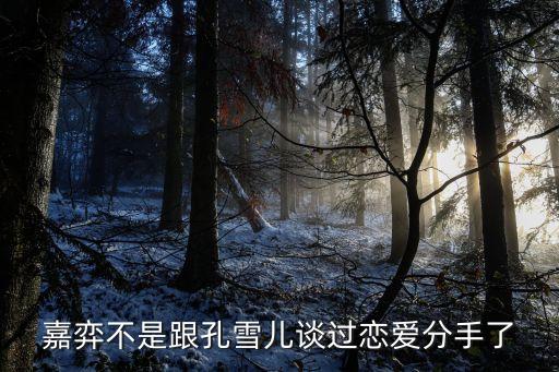 嘉弈不是跟孔雪兒談過戀愛分手了