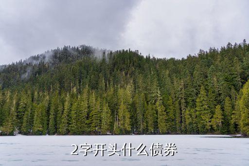 2字開頭什么債券