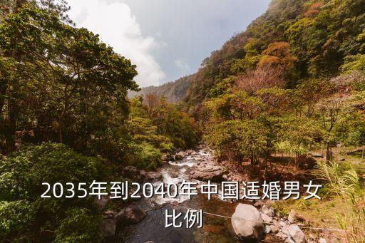 2035年到2040年中國適婚男女比例