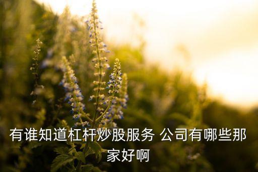 有誰知道杠桿炒股服務(wù) 公司有哪些那家好啊