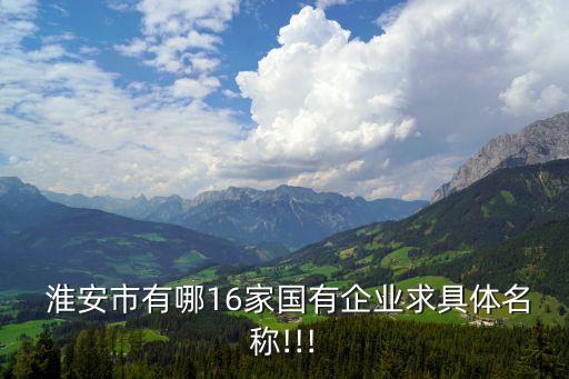  淮安市有哪16家國(guó)有企業(yè)求具體名稱!!!