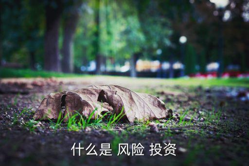 什么是 風(fēng)險(xiǎn) 投資