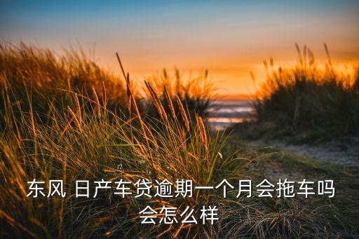 東風(fēng)日產(chǎn)金融公司征信,上海東風(fēng)日產(chǎn)金融公司客服電話