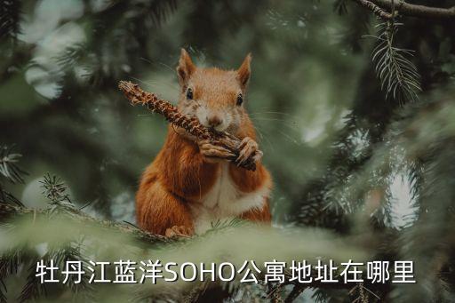 牡丹江藍洋SOHO公寓地址在哪里